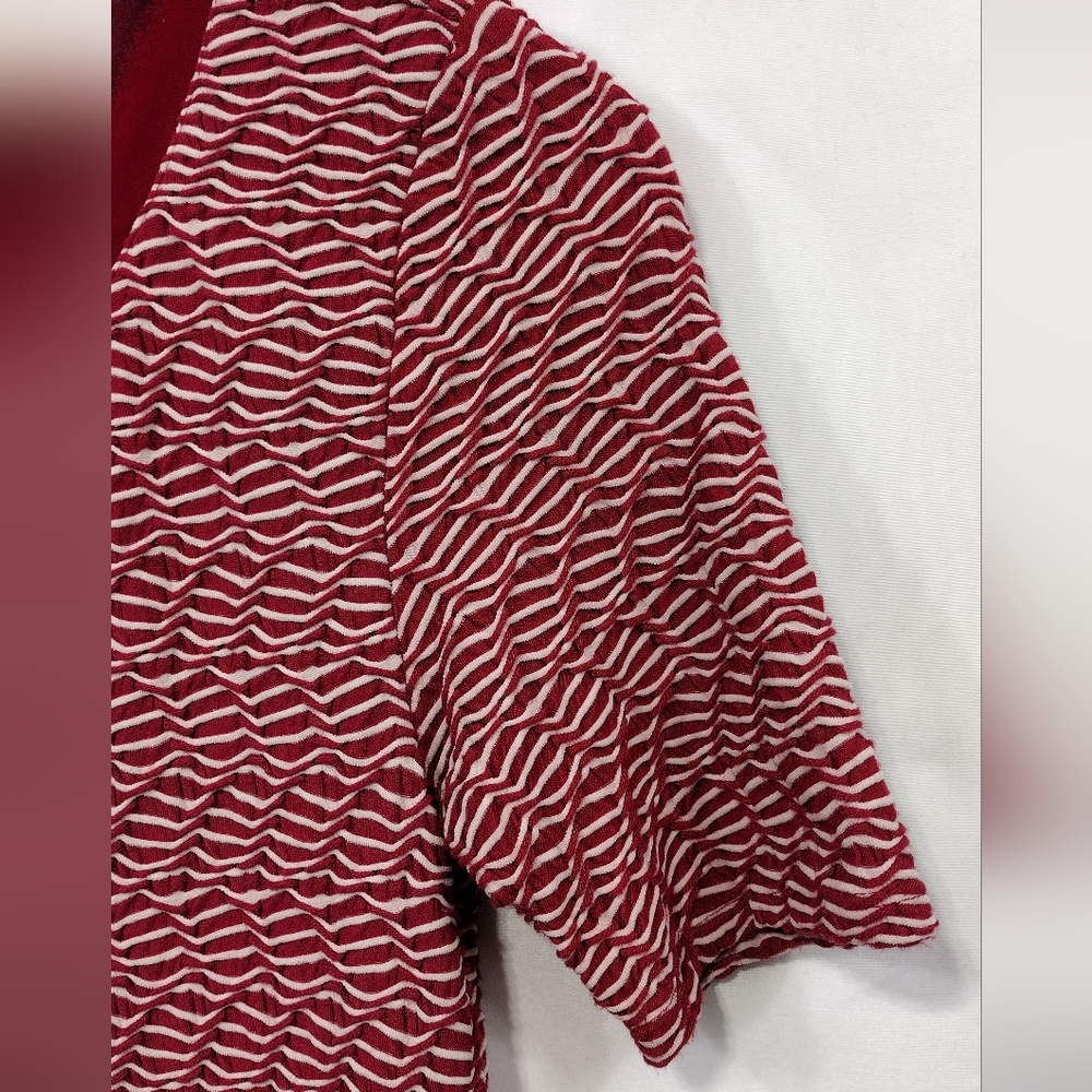 Maeve Anthropologie Wavy Textured Mini Dress Size XS Red White Preppy Academia - Picture 4 of 10